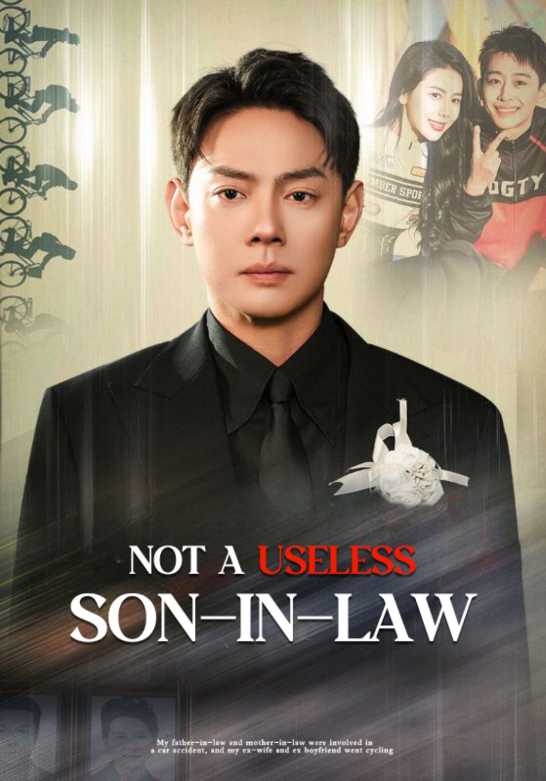 Not a Useless Son-in-law poster