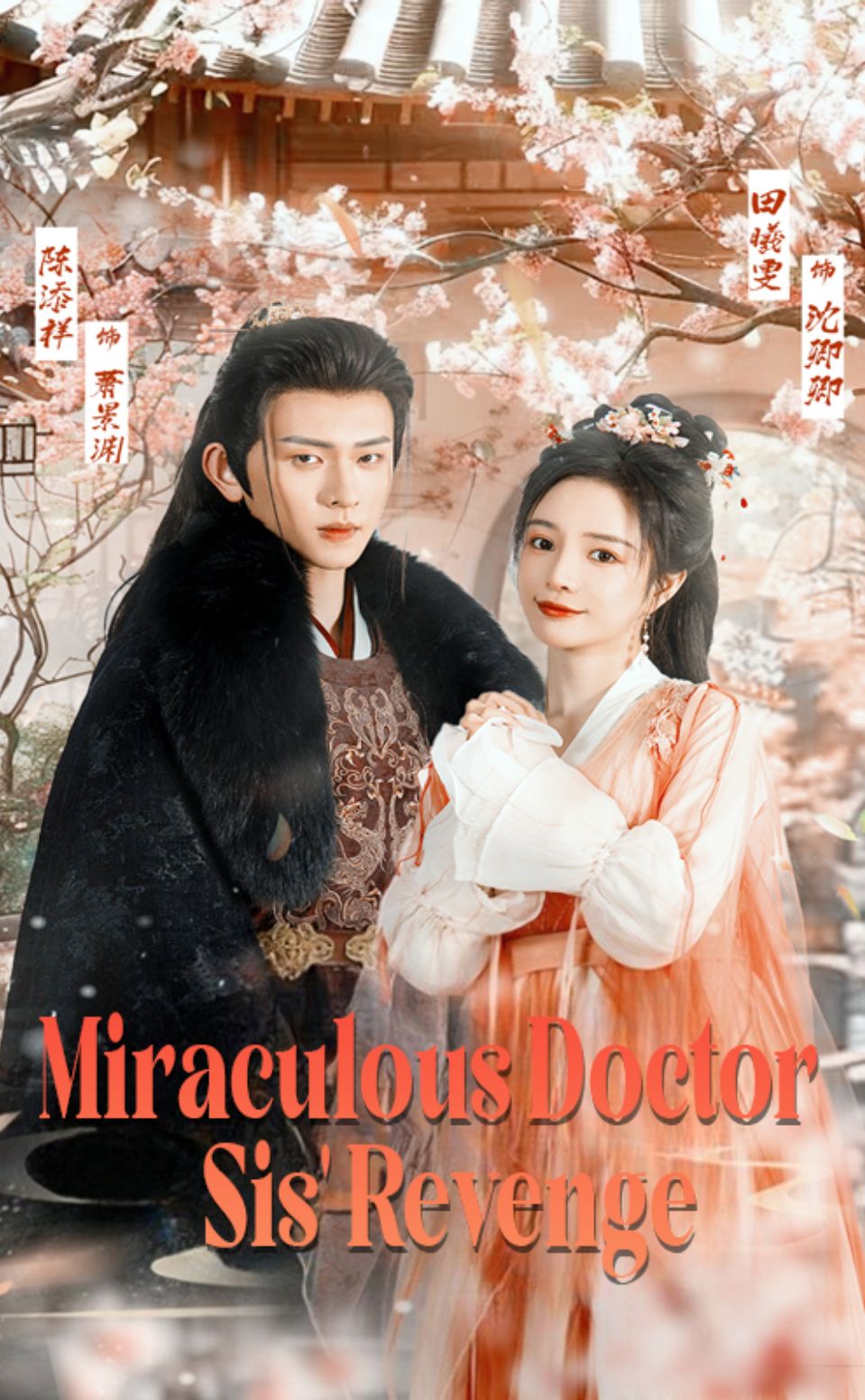 Miraculous Doctor Sis' Revenge poster