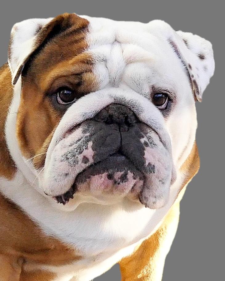 actor Walter large photo