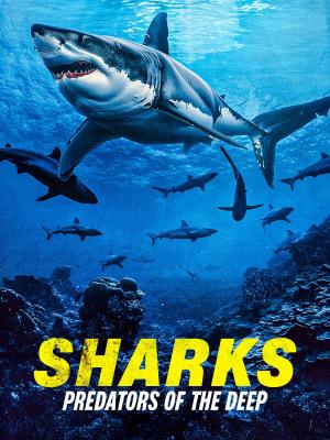 Sharks: Predators of the Deep [ترجمة عربية]