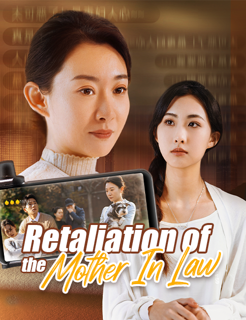 Retaliation Of The Mother In Law poster