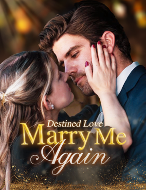 Destined Love:Marry Me Again