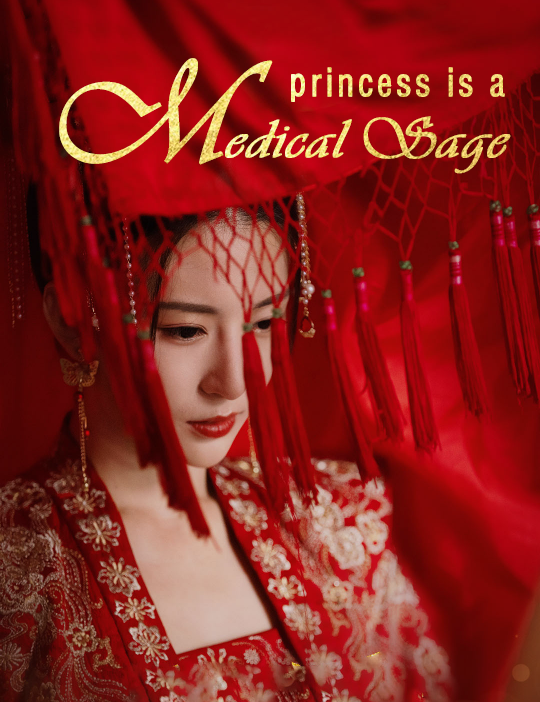 Princess Is A Medical Sage poster