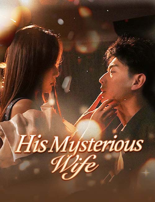 His Mysterious Wife poster