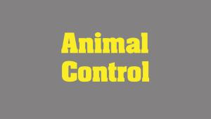 Animal Control [Version française]
