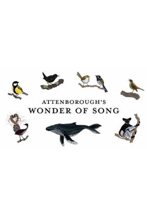 Attenborough's Wonder of Song [ترجمة عربية]