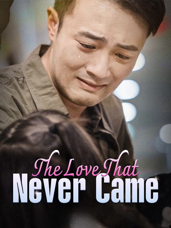 The Love That Never Came poster