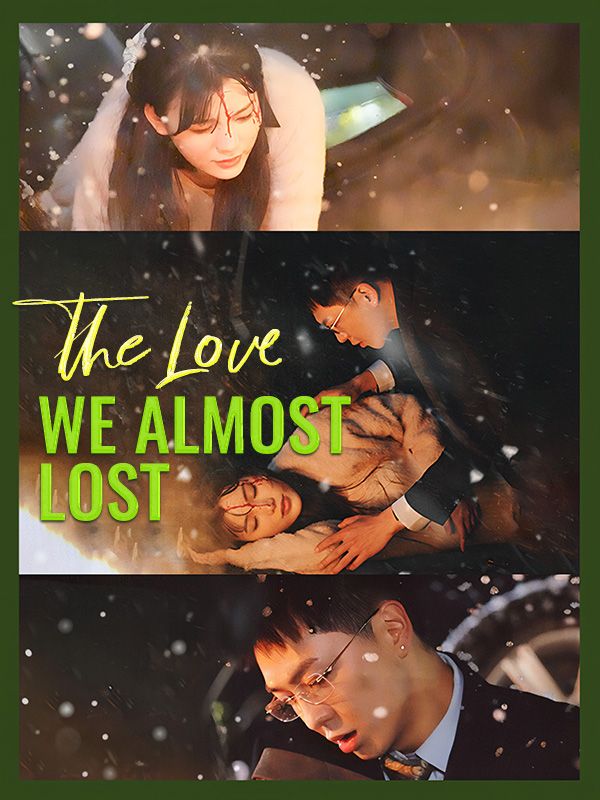 The Love We Almost Lost poster