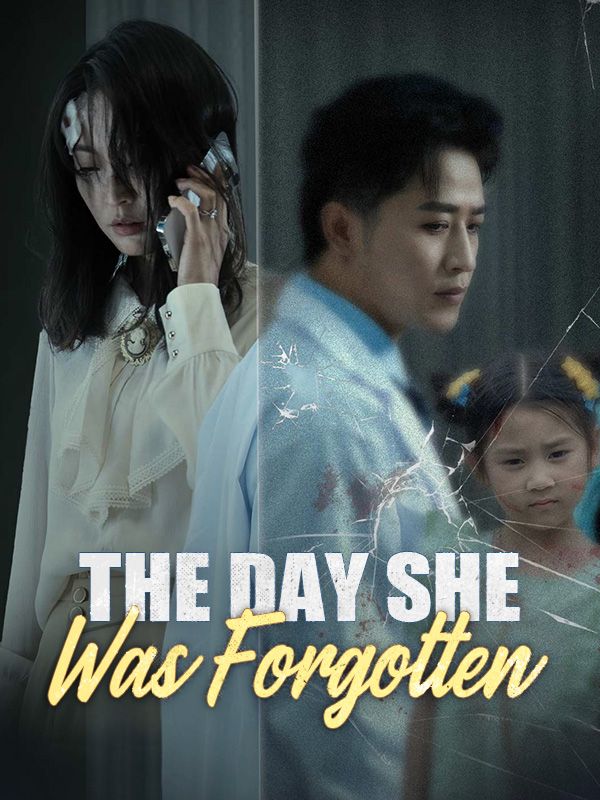 The Day She Was Forgotten poster