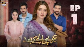 Teray Janay Kay Baad [Urdu]