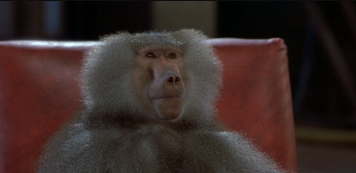 actor Typhoon large photo