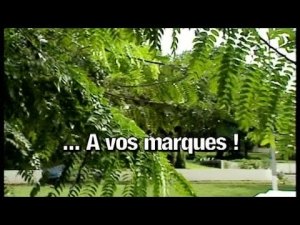 LES ANNÉES ECOLE - SERIE GABONAISE [Version française]