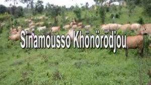 SINAMOUSSOU KHONORODJOU - MALINKE [Version française]