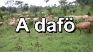 A DAFO FILM COMPLET VERSION MALINKE [Version française]