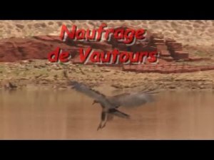 Naufrage de Vautour - BURKINA FASO [Version française]