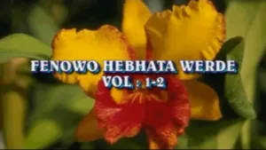 FENOWO HEBHATA WERTDE - POULAR [Version française]