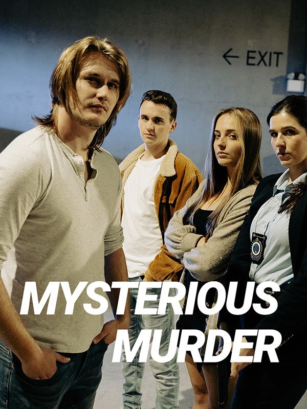Mysterious Murderer poster