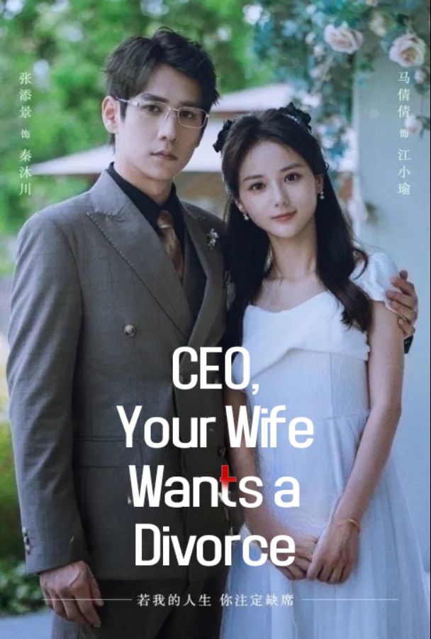 CEO, Your Wife Wants a Divorce poster