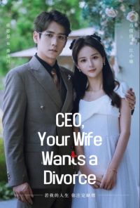 CEO, Your Wife Wants a Divorce