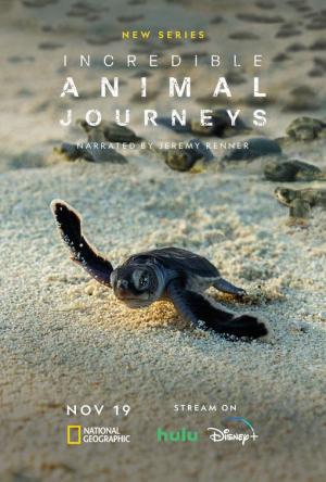 Incredible Animal Journeys [Version française]