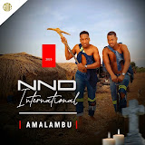 NND International