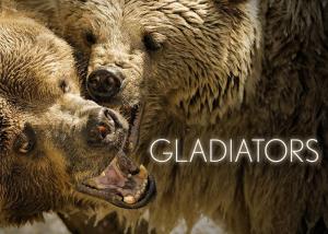 Gladiators [ترجمة عربية]