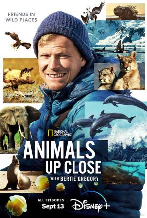 Animals Up Close with Bertie Gregory [ترجمة عربية]