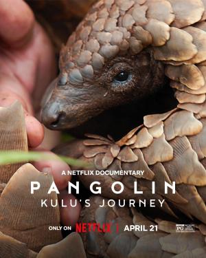 Pangolin: Kulu's Journey [Hindi]
