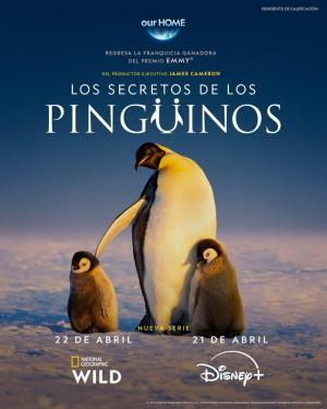 Secrets of the Penguins [Version française]
