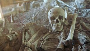 Unsterbliches Pompeji [Version française]