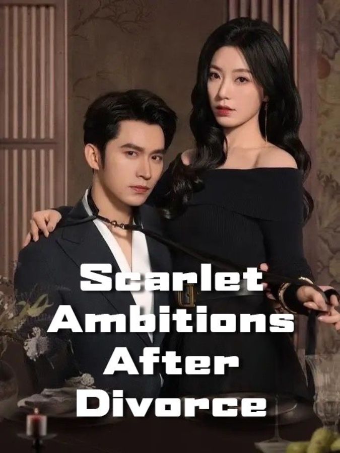 Scarlet Ambitions After Divorce poster