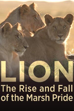 Lion: The Rise and Fall of the Marsh Pride [Version française]