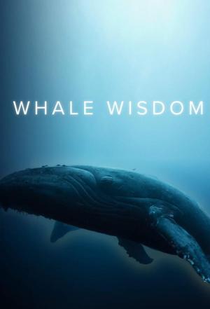 Whale Wisdom [ترجمة عربية]