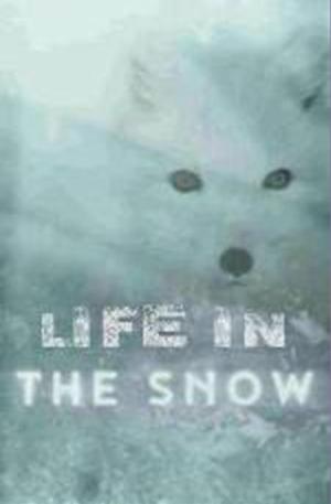 Life in the Snow [Kurdish]