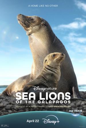 Sea Lions of the Galapagos [ترجمة عربية]