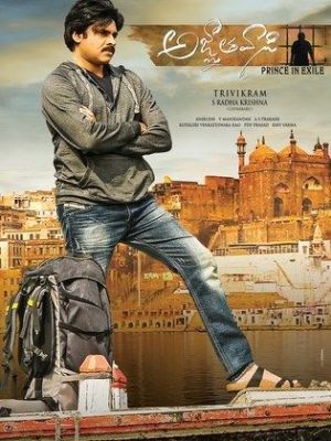 Agnyaathavaasi