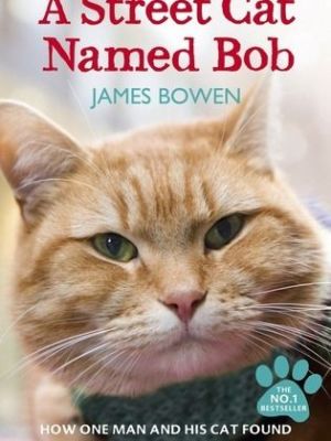 A Street Cat Named Bob [Russian]