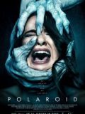 Polaroid