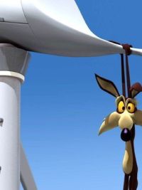 The Looney Tunes Show