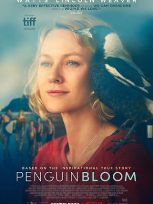 Penguin Bloom