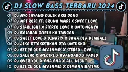 DJ SLOWBASS TERBARU 2024 || DJ AYO SAYANG CULIK AKU DONG || DJ APT ROSE FT. BRUNO MARS X SWEET LOVE