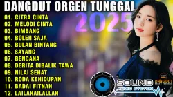 DANGDUT ORGEN TUNGGAL 2025 ALBUM RHOMA IRAMA | AUDIO CLARITY