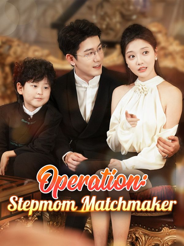Operation: Stepmom Matchmaker poster