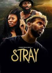 Stray [Version française]