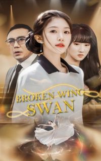 Broken Wing Swan
