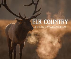 Elk Country [Indonesian]