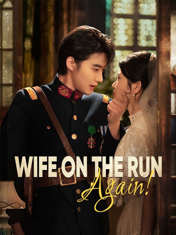 Wife on the Run, Again! poster