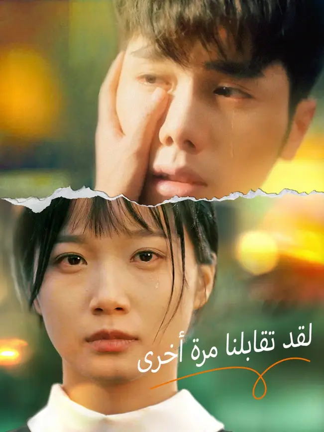 لقد تقابلنا مرة أخرى poster