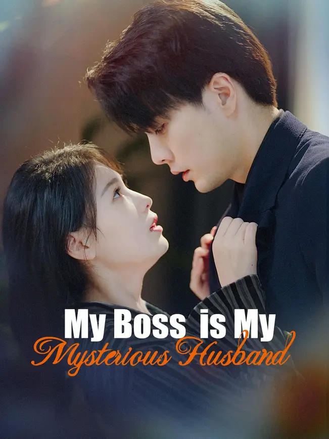 My Boss is My Mysterious Husband poster