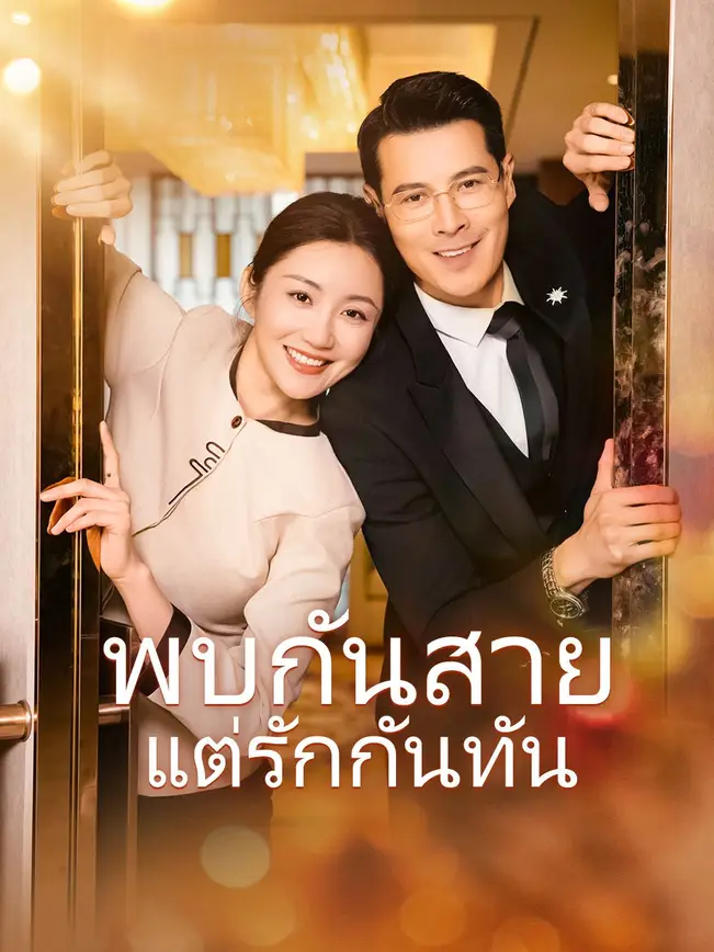 พบกันสายแต่รักกันทัน poster